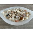 thumbnail image 4 of 2 oz Lot Natural Semi Tumbled Moonstone Mix Gemstone Chips, Moonstone Mix Crushed Mini Crystals, Undrilled Crystal Chips (Moonstone Mix), 4 of 7