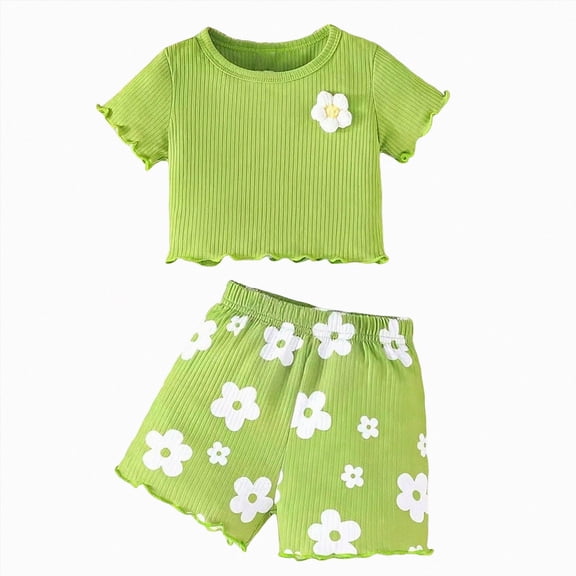 UAYOTSE Girl Clothes Set Summer Baby 6 12 18 24 Months 2T 3T Girl Clothes Shorts Set Floral Summer Outfits Cute Baby Clothes,Sizes 18-24 Months