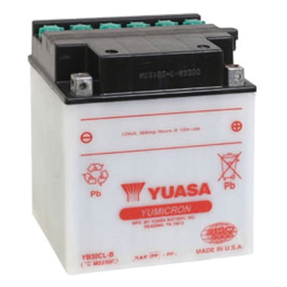 Yuasa YB30CL-B High Performance Conventional 12V Battery (YUAM2230CTWN)