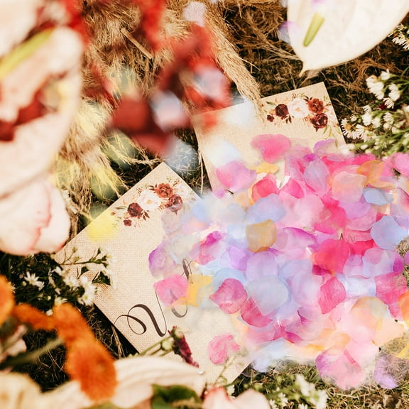 TEHAUX 2000Pcs Multicolor Polyester Silk Rose Petals for Weddings and Special Occasions
