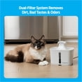 thumbnail image 6 of Premier Pet 60 oz. Pet Fountain, Automatic for Cats, Filters Included, White, 6 of 10