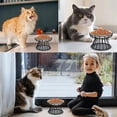 thumbnail image 4 of Cat Bowls, Elevated Cat Bowl, Raised Ceramic Cat Dish with Metal Stand, Pet Water or Food Feeding Station for Indoor Cats, Kitten, Puppies and Small Dogs, Dishwasher Safe, 4 of 10