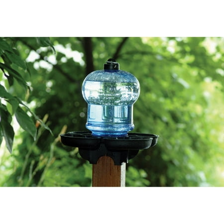 First Nature Clear Globe Polymer Bird Bath and Waterer