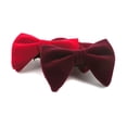 thumbnail image 3 of Ruiboury Nœud Papillon en Velours Mode Grand Application pour Hommes Plusieurs Couleurs Disponibles Rouge, 3 of 6
