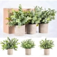 thumbnail image 4 of 3 Pack Mini Potted Fake Plants Artificial Plastic Eucalyptus Plants Topiaries for Home Office Desk Farmhouse Shelf Room Bathroom Decor(Sage Green), 4 of 8