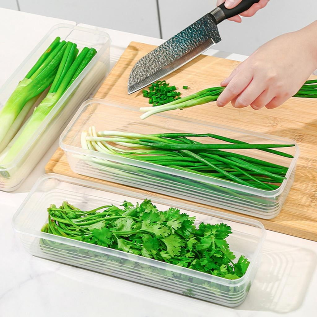 Airtights Food Storage Box Keep Vegetables Freshing Clear Fridge Organizers for Small Space Kitchen Supplies