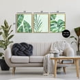 thumbnail image 3 of Stupell Industries Bohemian Various Plant Leaves Tropics Gold 3pc Floating Frame Art Set, 17 x 21 each, by Camila Juncos, 3 of 7