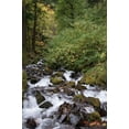 thumbnail image 2 of Erin Berzel 23x32 Gallery Wrapped Canvas Wall Art Titled - Wahkeena Falls II, 2 of 4