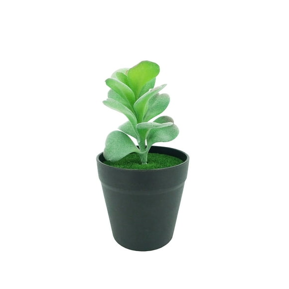 FixtureDisplays® 3.5 X 3.5 X 7" Diameter Black Planter with Succulent Desert Rose (Adenium obesum) Last Forever Artificial Green Turf Moss 21675-2