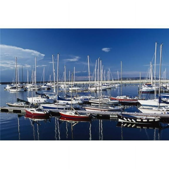 Sailboats Moored In Harbor Marina Poster Print, 19 x 12