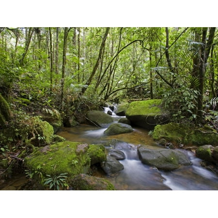 Rainforest and Waterfall in Biopark Near Entrance to Mount Kinabalu National Park, Sabah, Borneo Print Wall Art By Mark