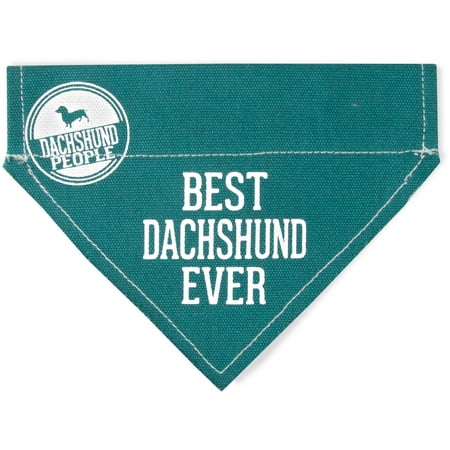 Pavilion - Best Dachshund Ever - Teal Canvas Small Dog Bandana Collar - 7