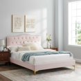 thumbnail image 2 of Modway Lit Plateforme Grand Format en Velours de Performance Ambre, Rose, 2 of 11