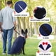 thumbnail image 4 of Esmoquin para perro DORA BRIDAL, traje formal azul y pajarita 2XL, 4 of 7