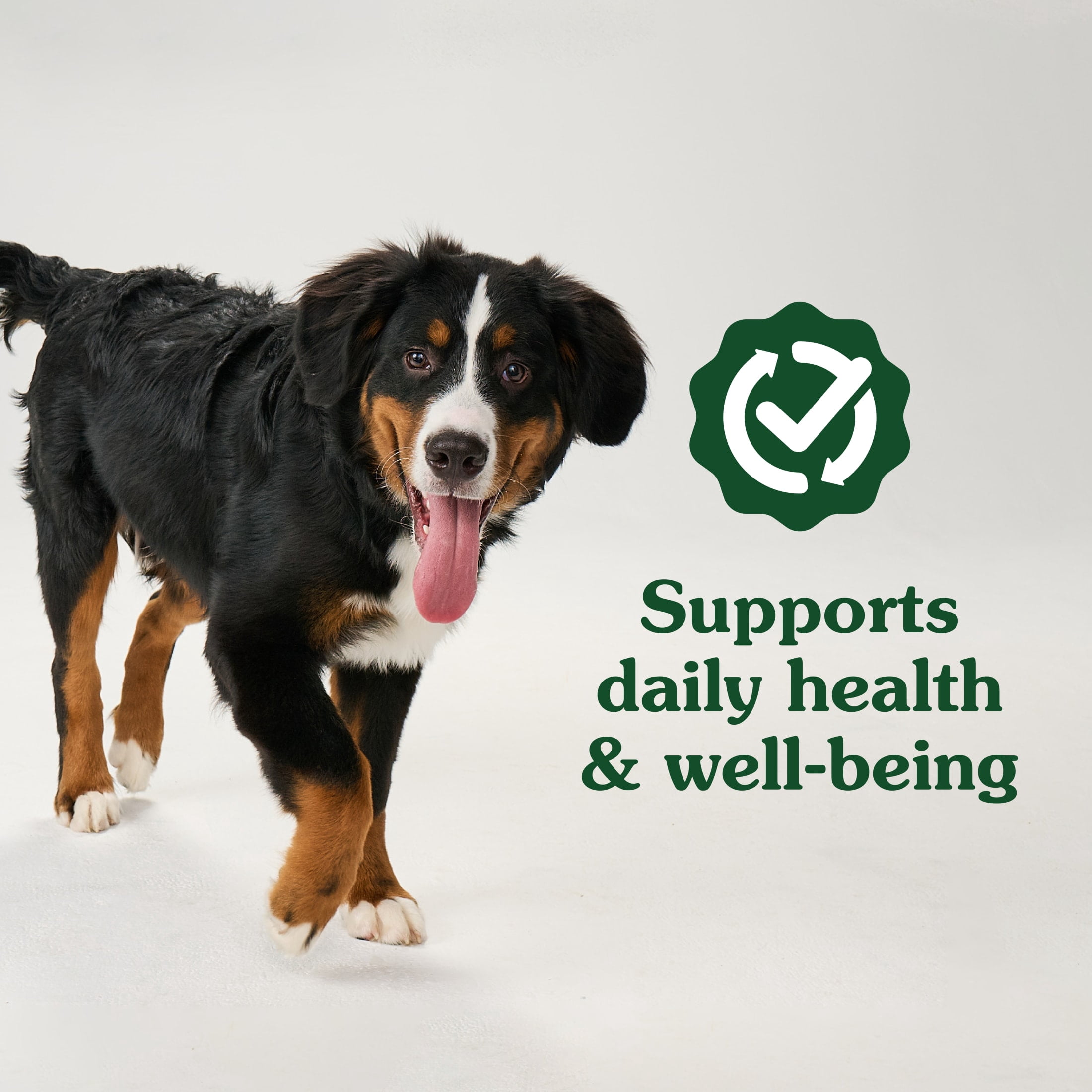 Greenies Supplements Chicken Flavor 8-in-1 Multi-Benefit Soft Dog Chews, 15.5 oz Tub, 80 Count