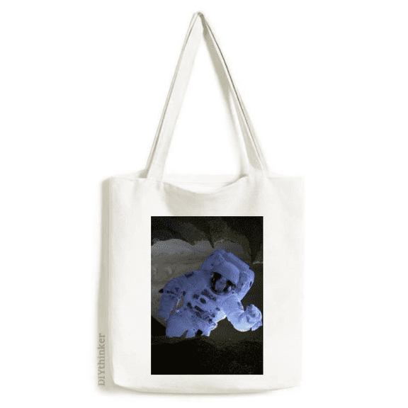 Galaxy Astronaut Dark Night Sky Tote Canvas Bag Shopping Satchel Casual Handbag
