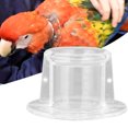 thumbnail image 2 of Cubierta De Cuello Para Curar Heridas De Loro, Collar Protector De Cuello De Pájaro, Collar De Cuello De Loro, Color Transparente Para Pájaro De Tienda De Mascotas ANGGREK NO, 2 of 8