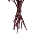 thumbnail image 4 of Vickerman Natural Botanicals 13" x 1-3" Red Gum Branch Red Frosted, 14 stems per unit, 4 of 5