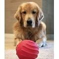 thumbnail image 2 of Jolly Pets Jolly Tuff Tosser Unique Rubber Durable Interactive Dog Toy 4 inch, 2 of 7