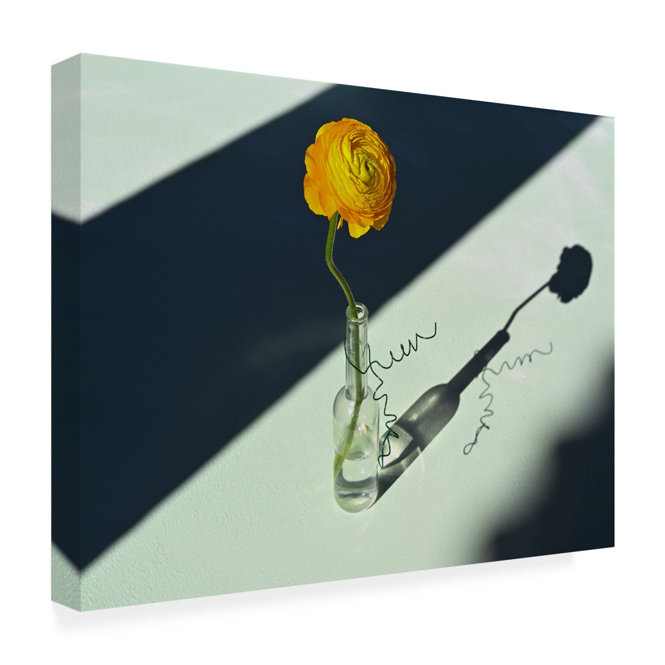 Trademark Fine Art Donatella Basso Light a Shadow Canvas Wall Art