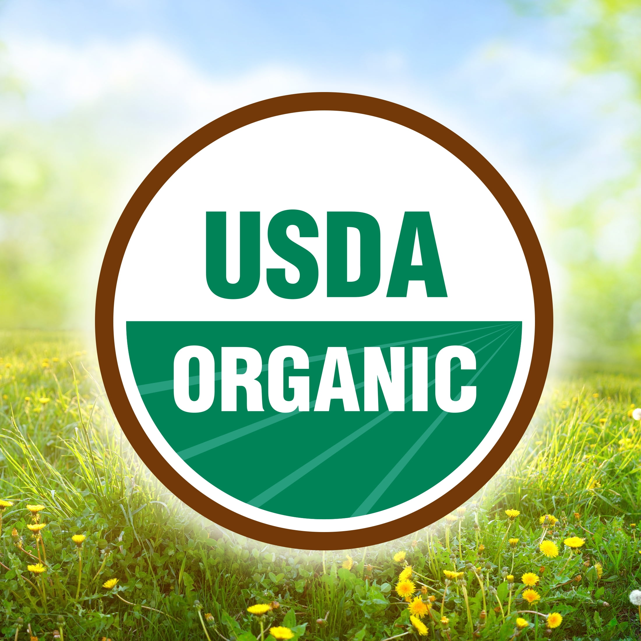 Baby's Only Organic - Infant Formula Organic 2 Premium Dairy 21 Ounces