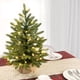 thumbnail image 5 of Árbol de Navidad Artificial Preiluminado de 45 Cm con Luces Led Blancas Cálidas | Batería y Control Remoto | Ramas Verdes Realistas En Cesta Tejida | Decoración Navideña de Mesa, 5 of 5