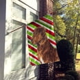 thumbnail image 2 of Carolines Treasures SS4600-FLAG-PARENT Chesapeake Bay Retriever Candy Cane Holiday Christmas Flag  multicolor, 2 of 2
