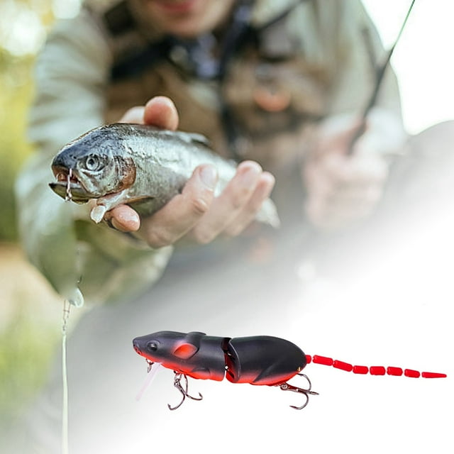Pêche 3D Réaliste pour Truite, Poisson-Chat, Eau Douce et Eau Salée avec Design Réaliste