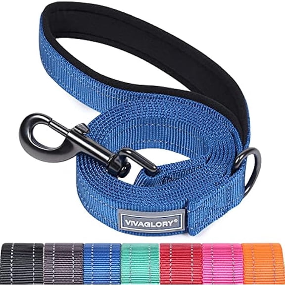Eryueer Dailyx Dog Lead, Dog Leash for Training & Walking with Soft Padded Handle, Heavy Duty & Double Layer Nylon for Pet Puppy, 180 x 2.5cm, Blue