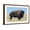 Brown Frame, variant on Art.com Buffalo Photographic Print by DLILLC, 18" x 12"