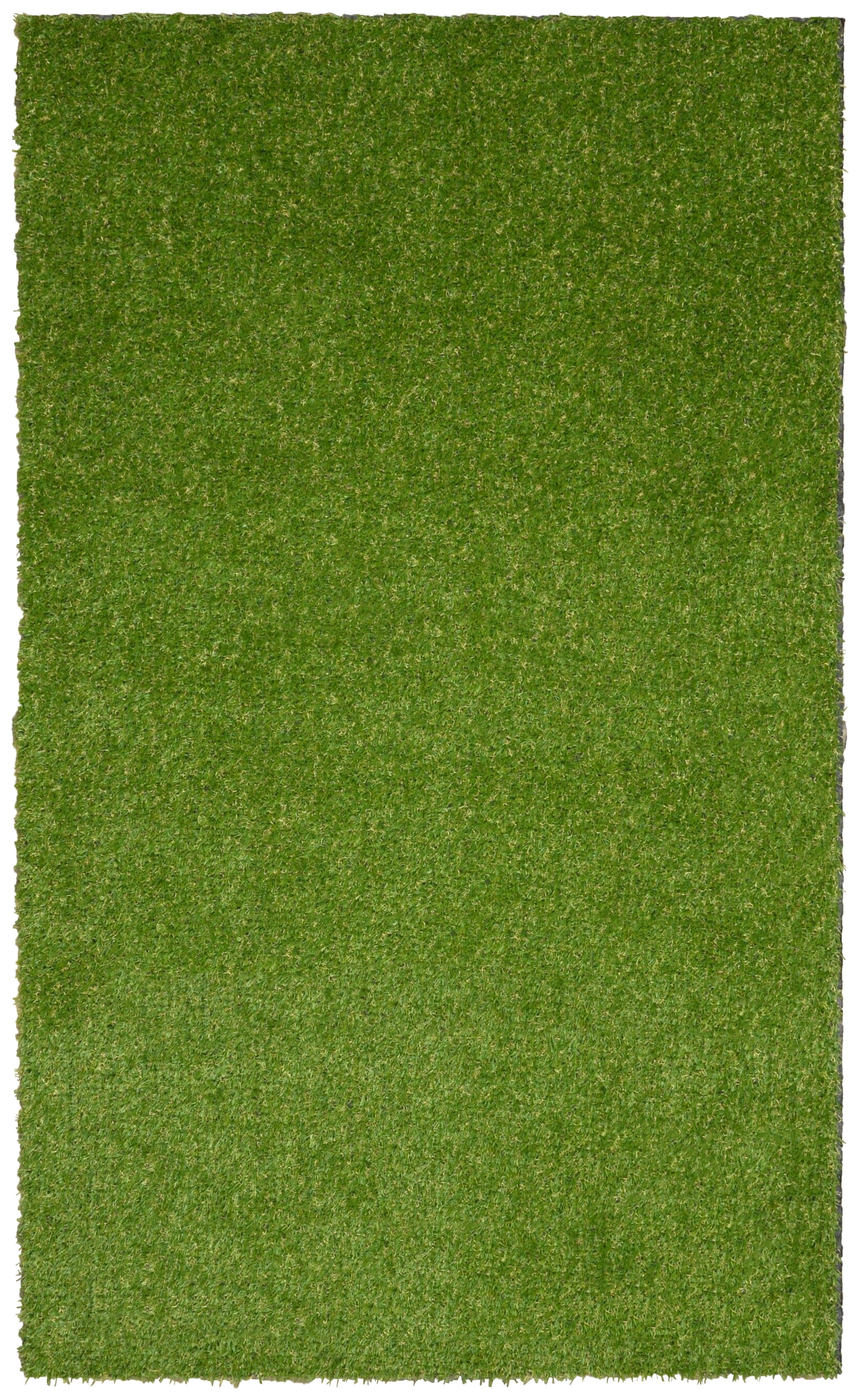 Garland Puppy Pee Pad 3 ft. x 4 ft. Easy Clean with Drainage Holes, Non-Toxic Realistic Artificial Grass Turf