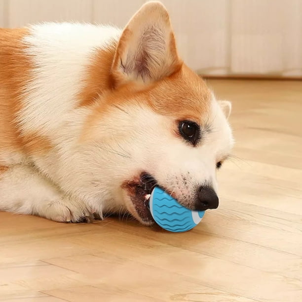 Juguete interactivo electrónico recargable para mascotas, juguete para perros, pelota interactiva para mascotas