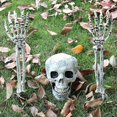 thumbnail image 4 of Estacas de esqueleto realistas brillar para Halloween, 4 of 4
