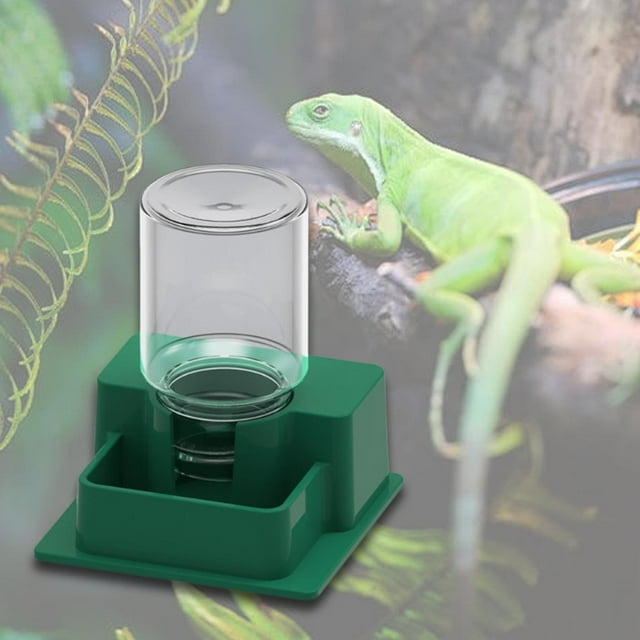 Dispensador automático de agua para reptiles, comedero para mascotas, accesorios para jaulas, bebedero para anfibios, tortugas, geckos y ranas, Verde oscuro