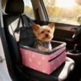 thumbnail image 1 of Cameland Waterproof Pet Car Seat Non Slide Belt Seat Belt Opening Synthesized Coverage Back Seat Protection Suitable For Cats And Dogs, 1 of 7