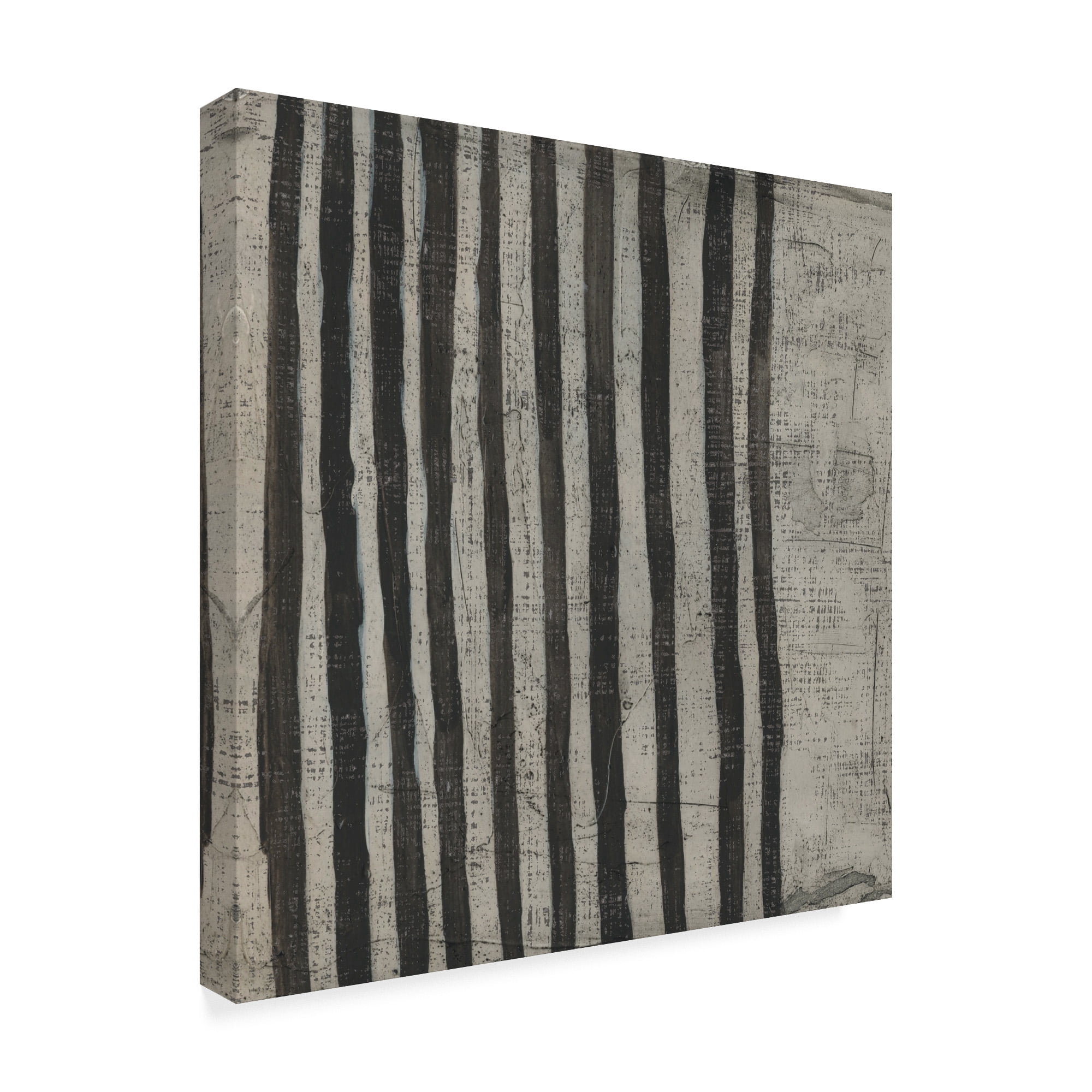 Trademark Fine Art 'Stone VII' Canvas Art by Chariklia Zarris