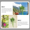 thumbnail image 4 of BESTYASH 5Ud Macetas Colgantes Resistentes Para Plantas De Hogar Y Oficina, 4 of 7