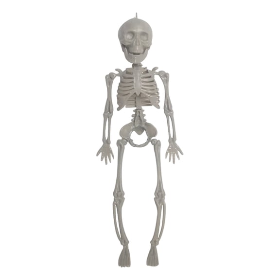Clearance Under $1! 1PC 11in Posable Skeleton Figurine, Full Body Movable Joints for Halloween Decor, Plastic, (11in, White)