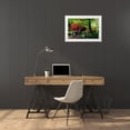 thumbnail image 3 of Hausenflock, Alan 32x23 White Modern Wood Framed Museum Art Print Titled - Meisho Garden I, 3 of 4