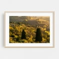 thumbnail image 2 of Tuscan Countryside in Autumn 3 - Tuscany Italy Photography Unframed Wall Art Print 12 x 18 inches, 2 of 7