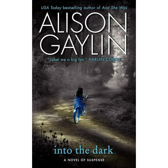 Brenna Spector Novel Into the Dark, Book 2, (Paperback)