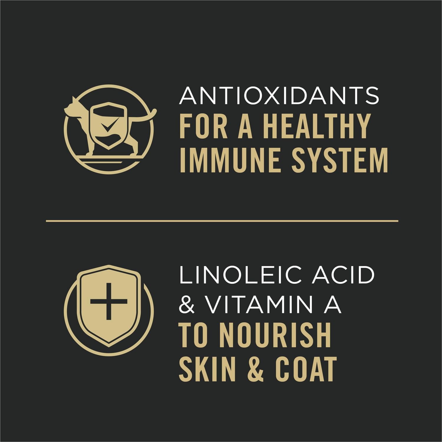 Purina Pro Plan Complete Essentials Entrée de Thon en Sauce, Nourriture Humide pour Chats 85 g