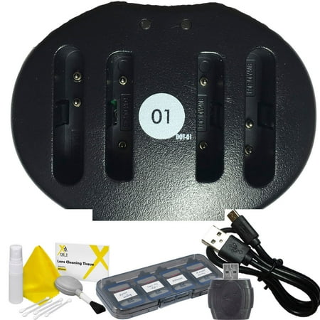 DOT-01 Replacement Dual Slot USB Charger for Fujifilm NP-45S and Fujifilm T190 Digital Camera and Fujifilm NP45S Accessory Bundle