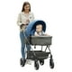 thumbnail image 1 of Carriola con Portabebe D´Bebe  Queen Azul, 1 of 7