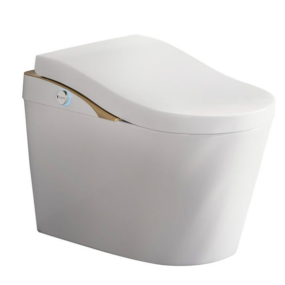 TICOZE Modern Smart Toilet With Bidet, Auto Flush, Auto Open/Close,Heated Seat, Warm Water and Dry, Foam Shield Function White