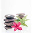 thumbnail image 2 of Red Frangipani Flowers and Wall Mural by Wallmonkeys Peel and Stick Graphic (18 in H x 16 in W) WM57634, 2 of 4