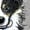 AC-Heather Grey, variant on Tri-color Border Collie Baby Sweatshirt
