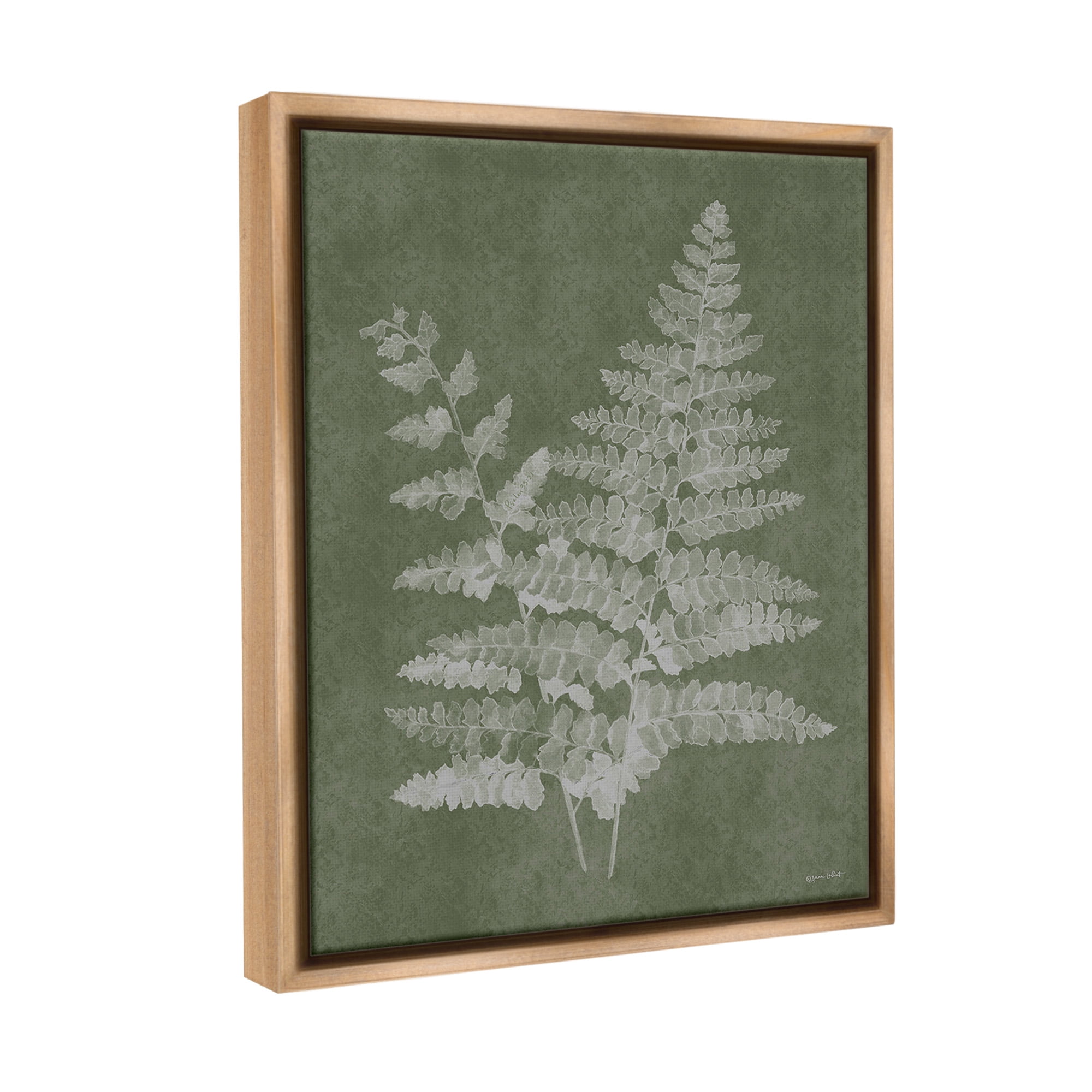 Stupell Industries Green Rustic Ferns Botanical & Floral Painting Brown Floater Framed Canvas Art Print Wall Art, 17 x 21