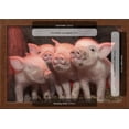 thumbnail image 3 of Domestic Pig, Middle White piglets, standing under heat lamp, England, Framed Art Print Wall Art by John Eveson Sold by Art.Com, 3 of 6