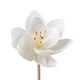 thumbnail image 4 of (5pcs/sell) Aromatherapy accessories Aromatherapy volatile stick Aromatherapy diffuser, 4 of 14